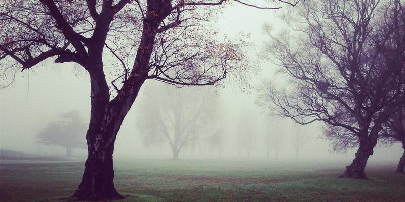 SGJHY100深度解析：一站式综合信息与实用资源平台