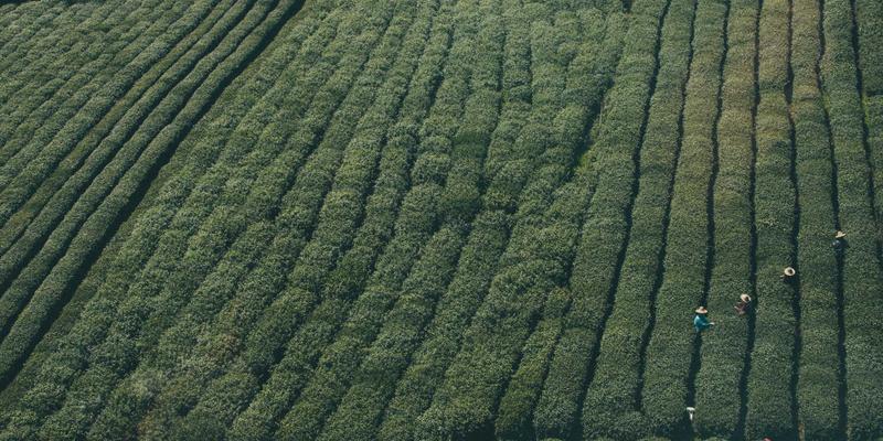 SGJHY22：构建高效信息导航体系，解锁实用资源新维度