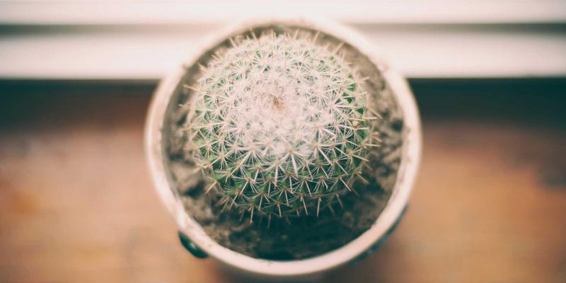 SGJHY41：构建高效信息导航与资源整合的新范式