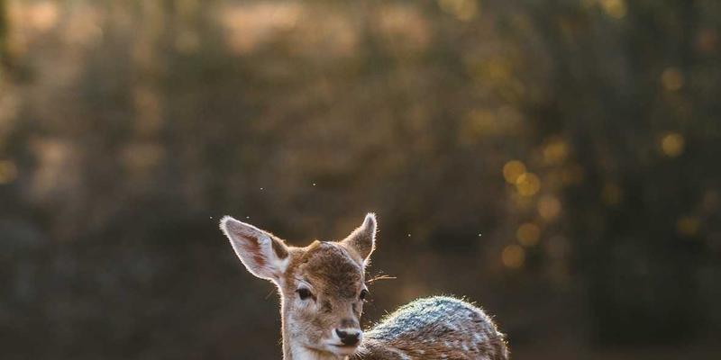 SGJHY53：构建高效信息导航与资源整合的新范式