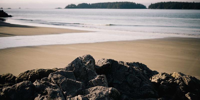 SGJHY6：专业资源导航平台如何重塑信息获取效率