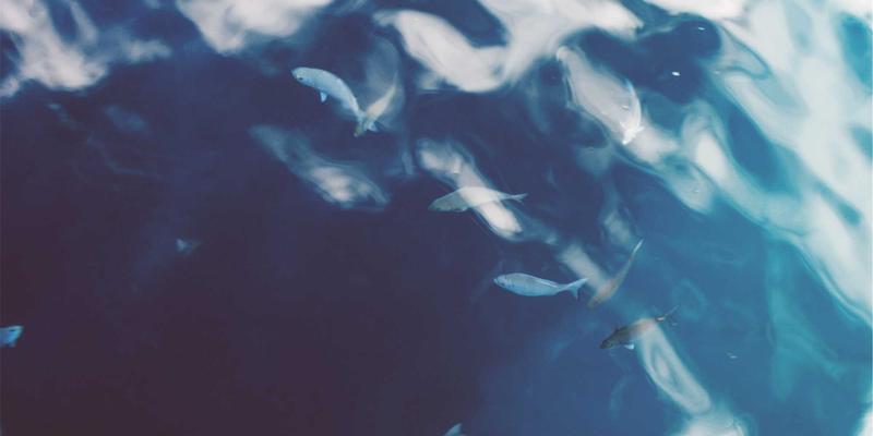 SGJHY90：信息导航新时代，打造高效综合信息链接集合