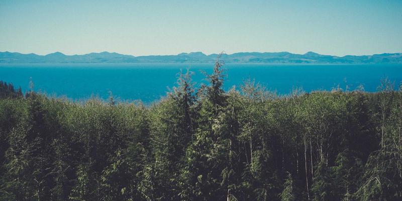 SGJHY与信息导航：如何构建跨平台用户画像驱动精准营销