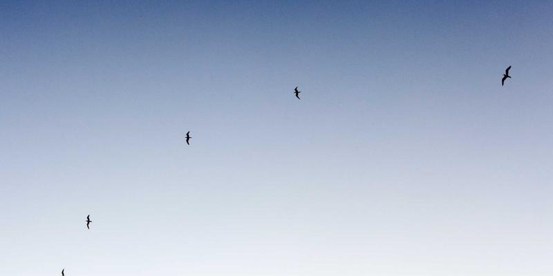 SGJHY如何重塑智慧教育：基于资源导航与信息导航的个性化学习革命