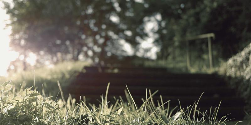 SGJHY完全入门指南：解锁综合信息与实用资源的正确方式