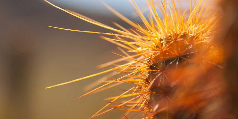 SGJHY平台如何通过资源导航与链接集合构建区域经济监测与产业分析决策支持系统