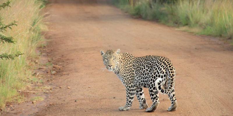 SGJHY智慧水务管理：构建从水源到龙头的全程监控与调度新范式