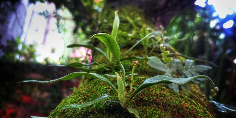 SGJHY构建天地一体化智慧环保物联网平台：链接集合与信息导航的综合信息革命