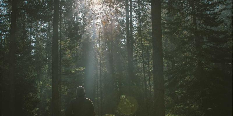 SGJHY赋能零售业：构建链接集合与资源导航，实现全渠道信息与供应链的精准匹配