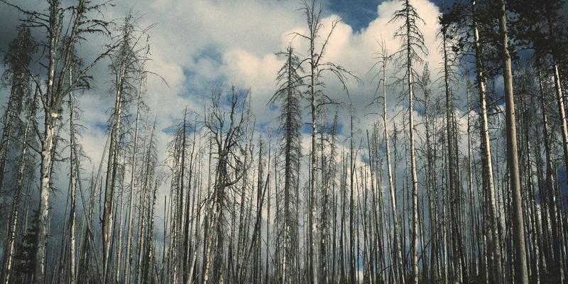 实用资源导航：基于SGJHY的智慧金融风控平台如何通过多源信息关联分析重塑合规监测