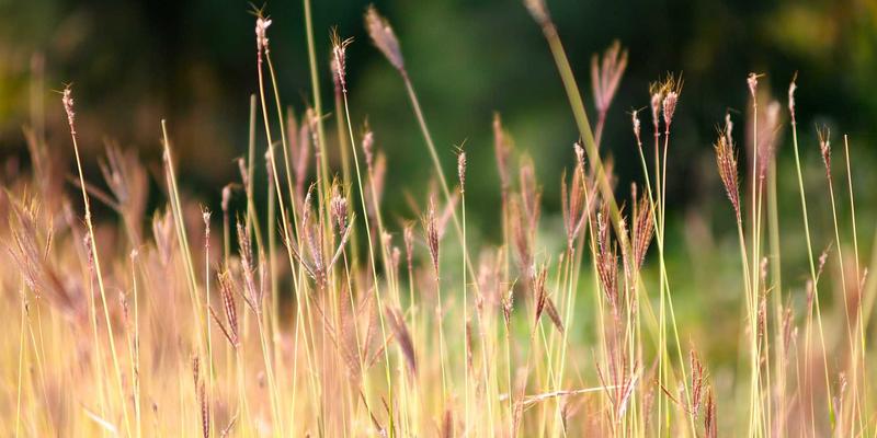 实用资源导航新纪元：SGJHY与AI融合打造具备预测能力的智能信息中枢